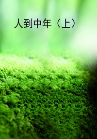 人到中年（上）