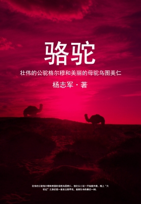 骆驼