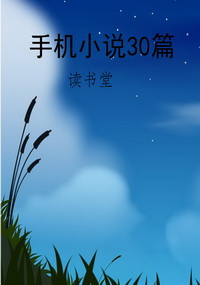 手机小说30篇