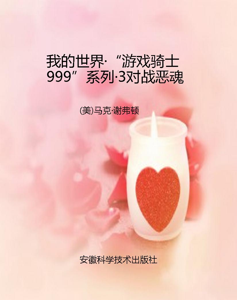 我的世界·“游戏骑士