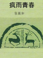 疯雨青春
