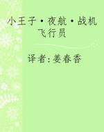 小王子·夜航·战机飞