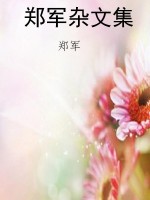 郑军杂文集