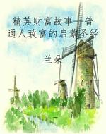 精英财富故事--普通人