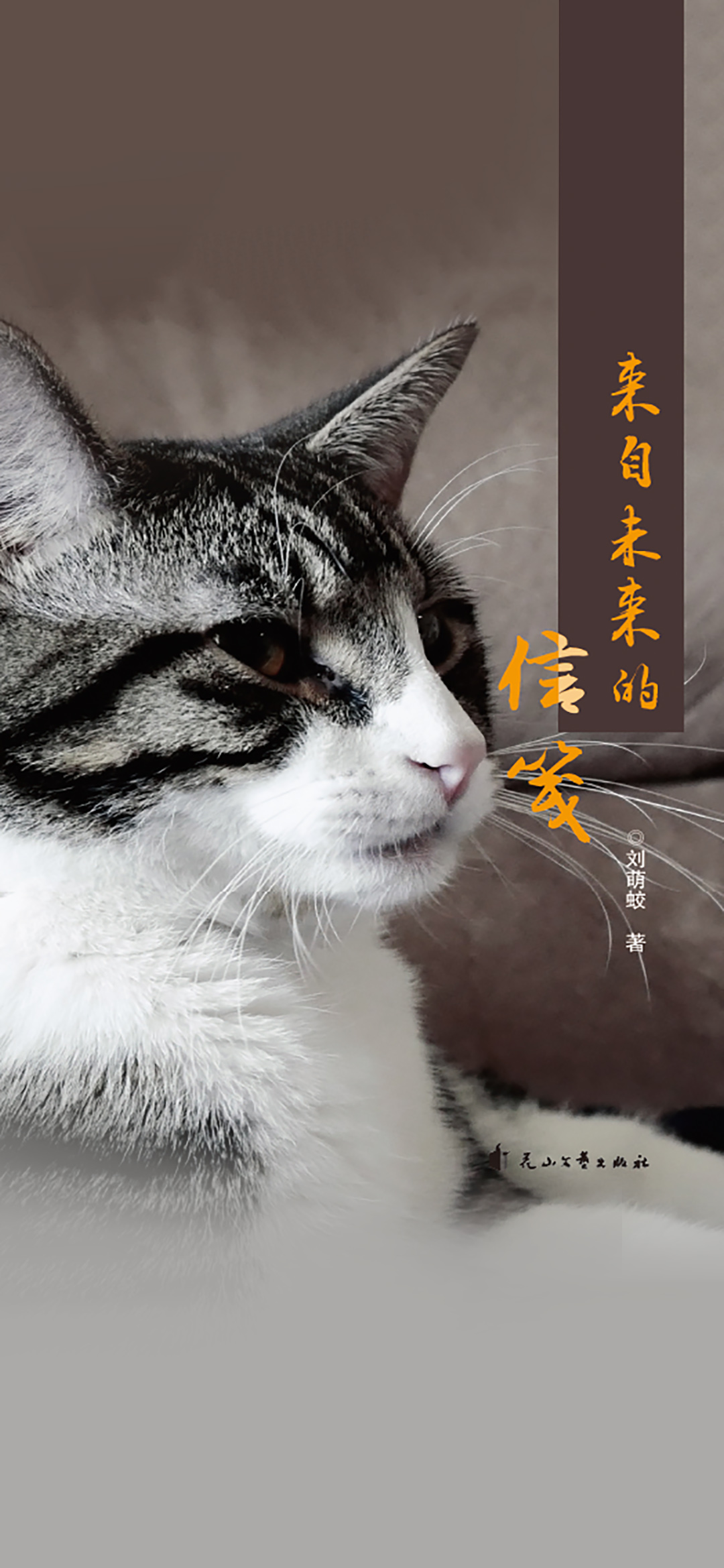 来自未来的信笺