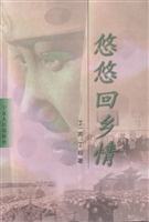 悠悠回乡情