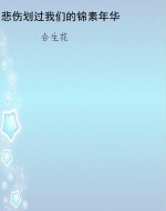 悲伤划过我们的锦素年