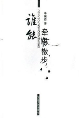 谁能牵猫散步