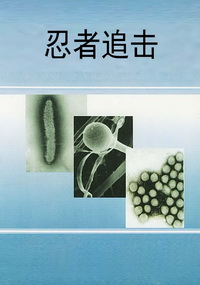 忍者追击