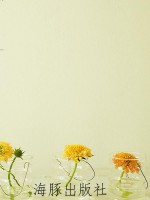 汤姆·索亚历险记
