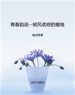 被风诱惑的蜡烛