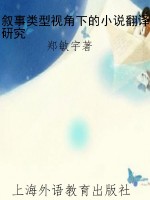 叙事类型视角下的小说