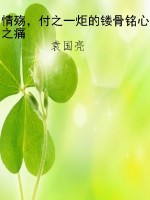 情殇，付之一炬的镂骨铭