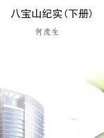 八宝山纪实(下册)