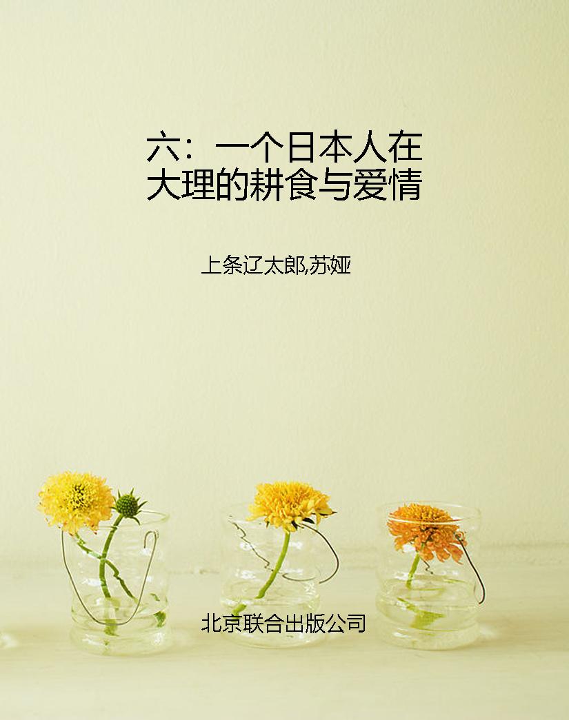 六：一个日本人在大理的