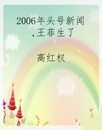 2006年头号新闻，王菲生