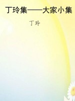 丁玲集——大家小集