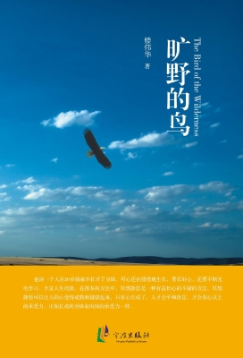 旷野的鸟