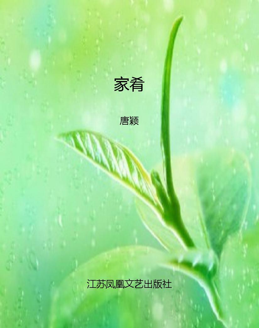 家肴