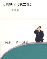 天磨铁汉（第二部）