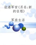 驻港军官（另名：新的征程