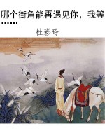哪个街角能再遇见你，我