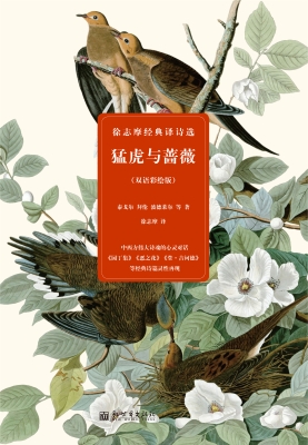 猛虎与蔷薇