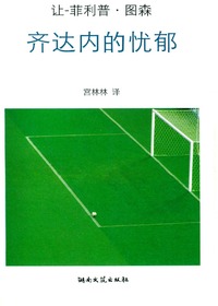 齐达内的忧