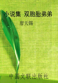 小说集 双胞胎弟弟