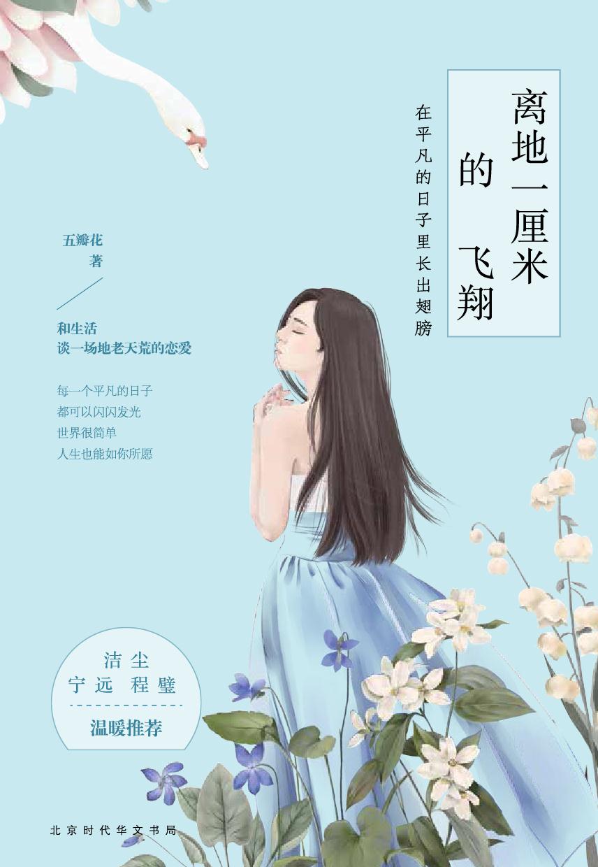 离地一厘米的飞翔——