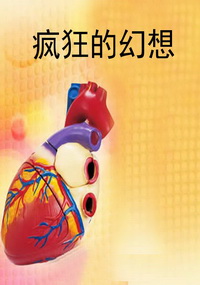 疯狂的幻想