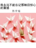 我永远不能忘记那触目