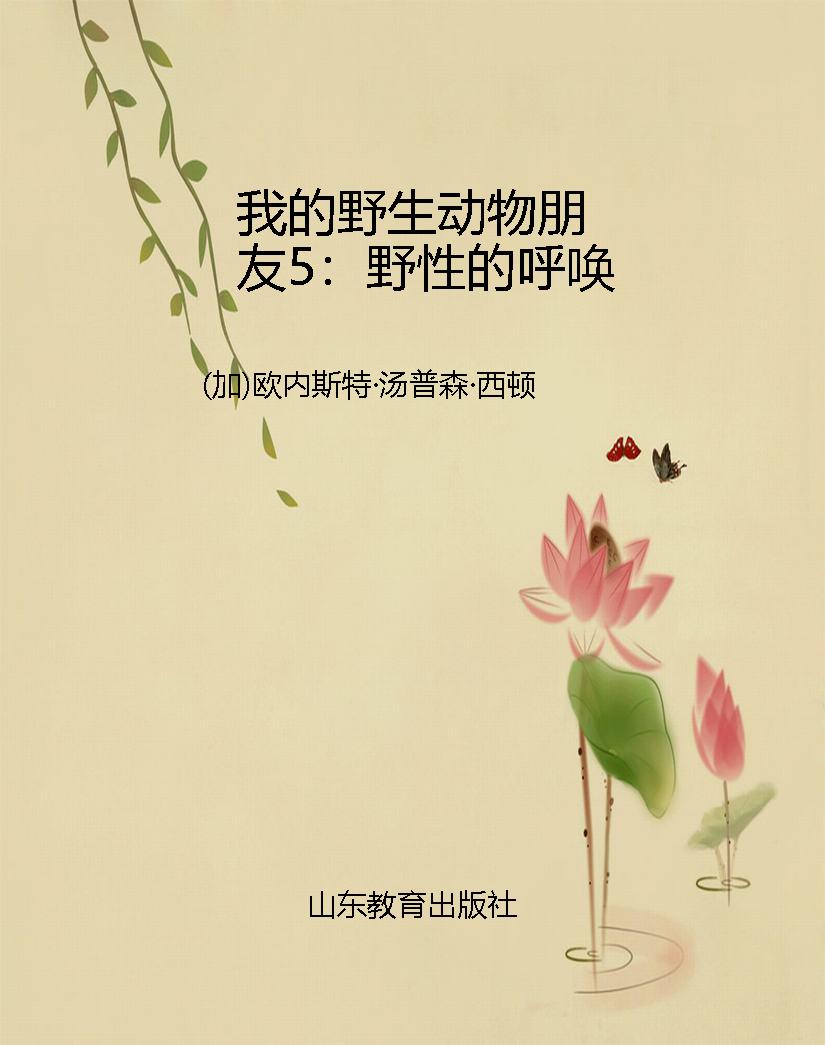 我的野生动物朋友5：野