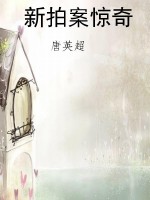 新拍案惊奇