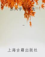 苏兴学术文选