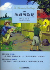 汤姆历险记
