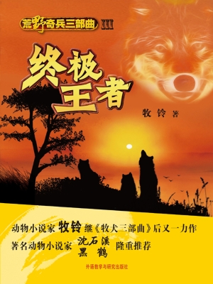 荒野奇兵三部曲 Ⅲ—