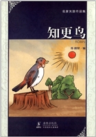 知更鸟
