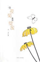 像夜菊那样绽放