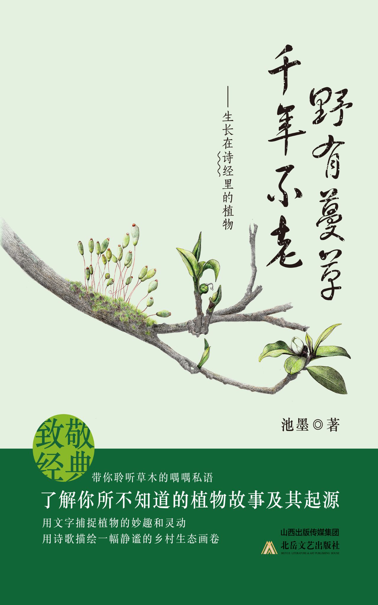 野有蔓草，千年不老：生长