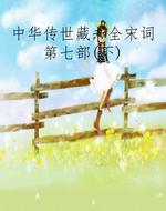 中华传世藏书全宋词第