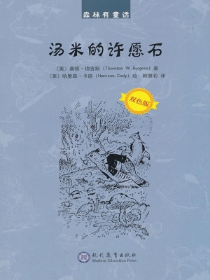 汤米的许愿石