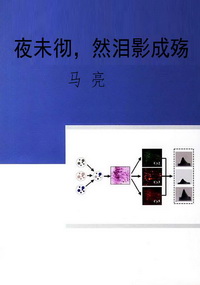 夜未彻，然泪影成殇