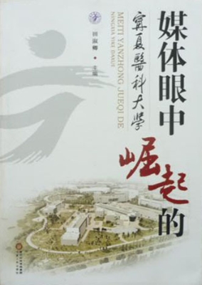 媒体眼中崛起的宁夏医