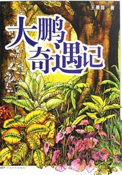 大鹏奇遇记