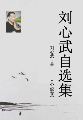 刘心武自选集·小说卷