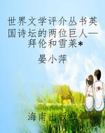 世界文学评介丛书英国