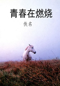 青春在燃烧