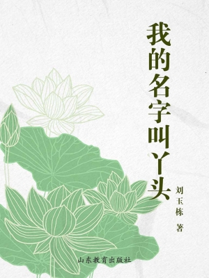 我的名字叫丫头