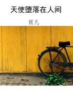 天使堕落在人间